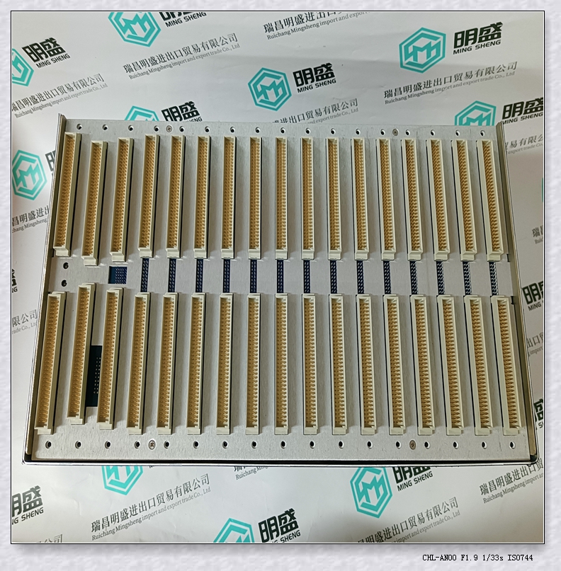 1900/65A-00-07-01-00-01  LC備件本特利模塊 