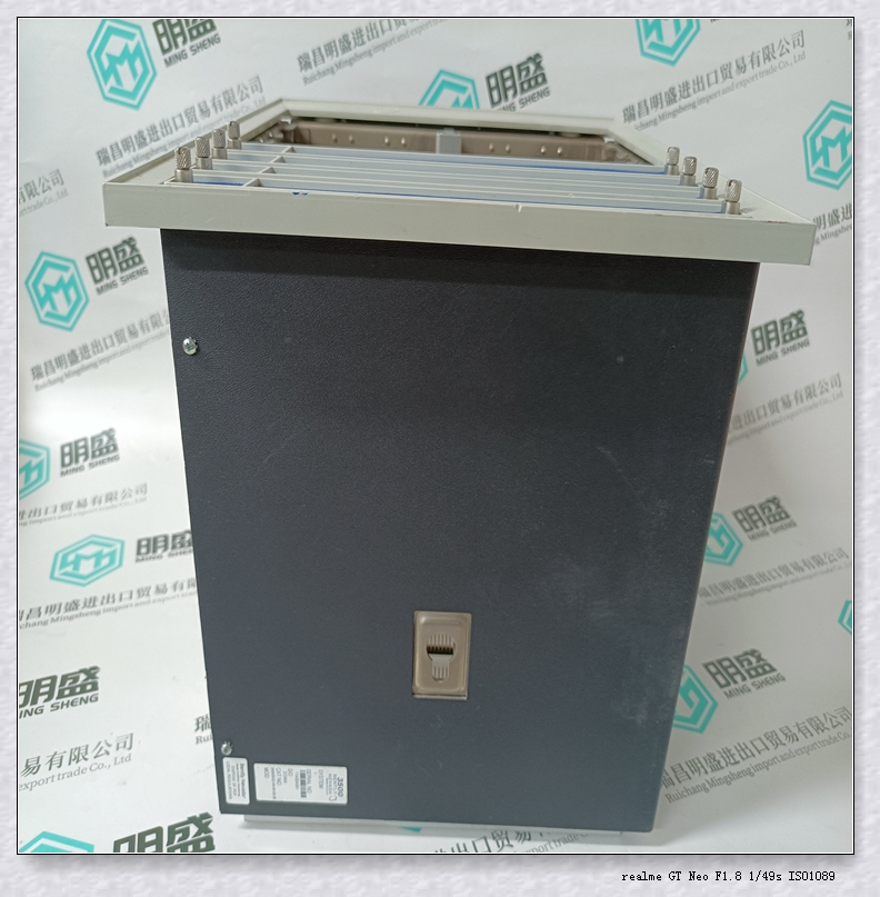 1900/65A-00-11-01-00-01 LC備件本特利模塊