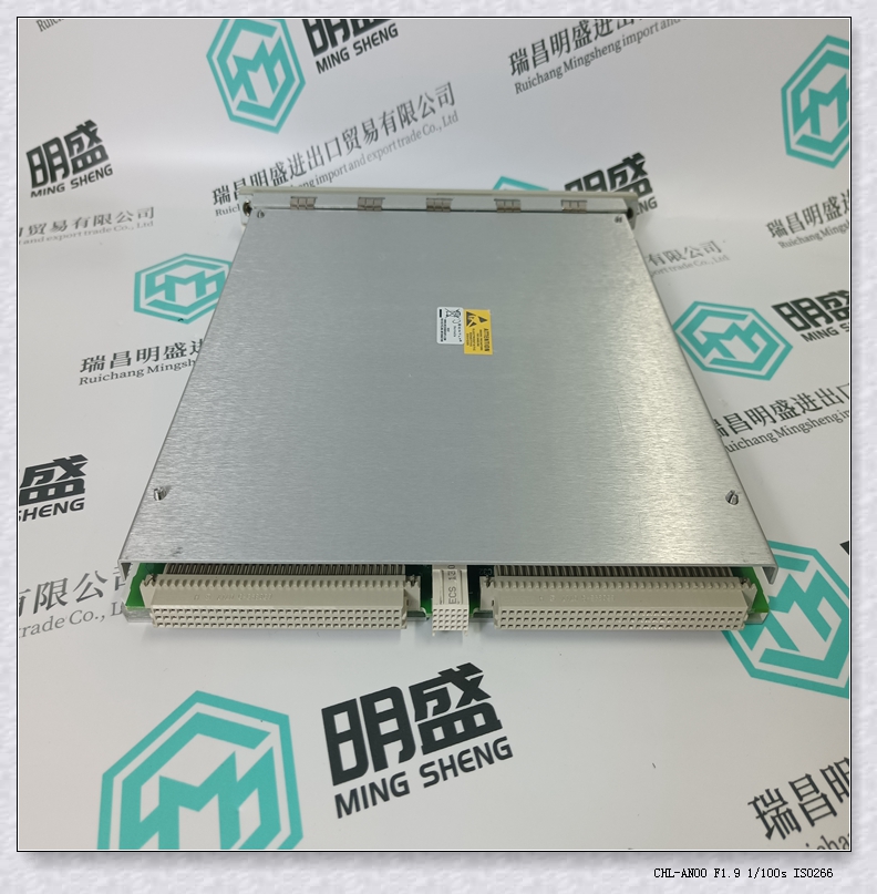 1900/65A-00-02-00-01-00  LC备件本特利模块 