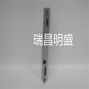 146031-01  产品尺寸 