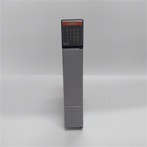 1746-OW16 19-01-18 使用数量