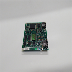 DAPU100 3ASC25H204使用手册 