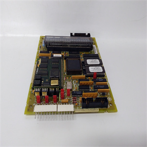 DS200SLCCG1AEE DS215SLCCG1AZZ01B全新现货 