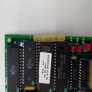 DS215DMCBG1AZZ03A DS200DMCBG1AED DS200DMCBG1AKG使用说明 