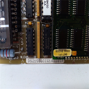 DS200SLCCG1AFG DS215SLCCG1AZZ01A  产品重量 