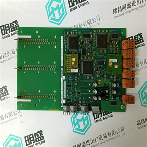 R010396.002 用于驱动控制器主扩展输入模拟 SCHENCK 