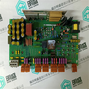 DS200TBCBG1AAA产品颜色
