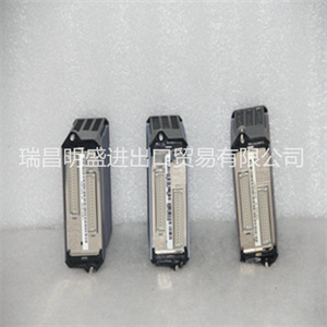 Foxboro FCM10EF库存模块