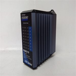 FBM219 P0916RH全新模块备件供应商批发价 