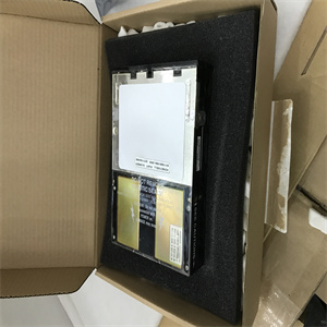 51195156-300模块备件中文PDF用户手册 