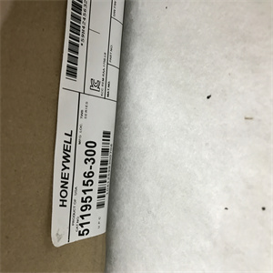 51195156-300模块备件中文PDF用户手册 
