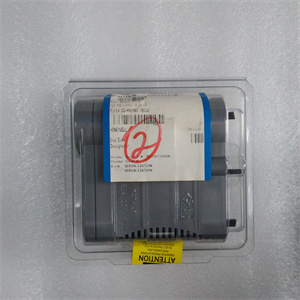 CC-PAIN01 51410069-175模块备件中文PDF用户手册 