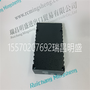 GE IC694ALG221  咨询通用电气 