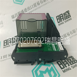 P0960KA ZLAM 用于接口模块 FOXBORO 