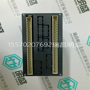 Woodward 8915-024模块现货 