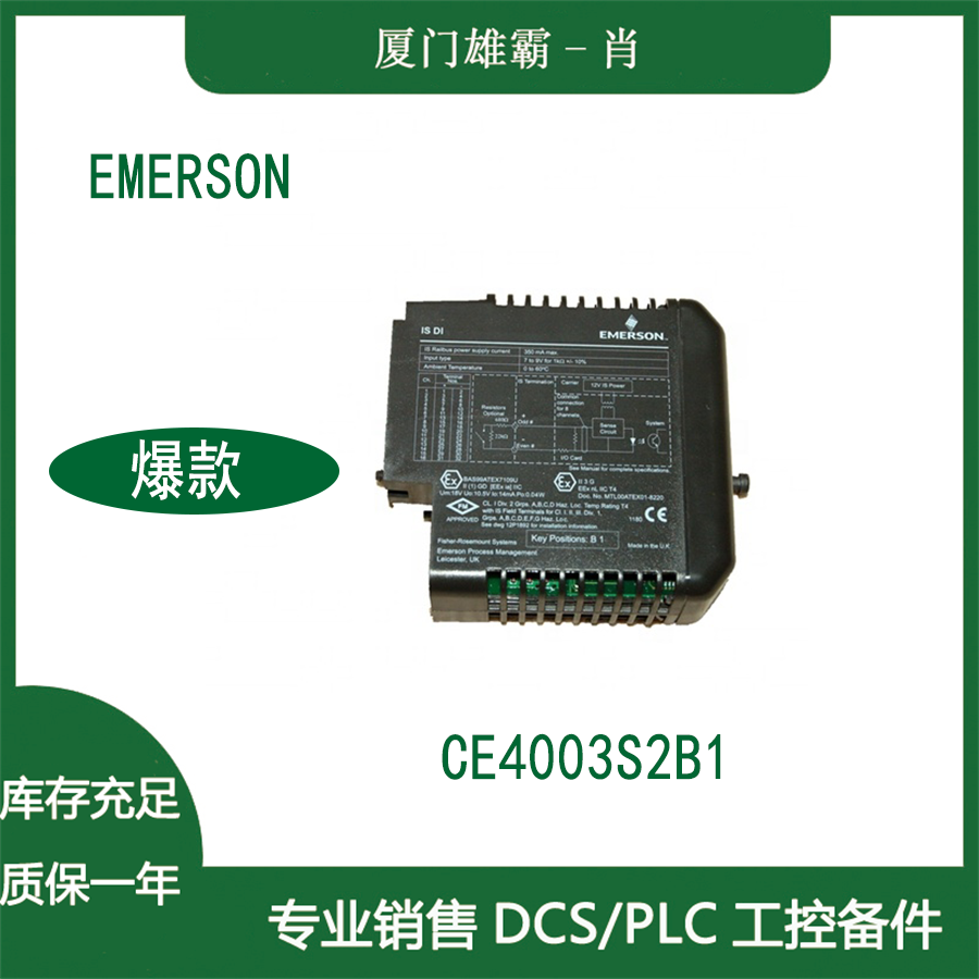 DXA-8300   Emerson艾默生（西屋）OVATION模块卡件 使用说明 