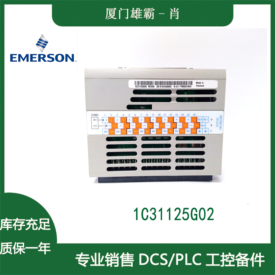 DXM-6200   Emerson艾默生（西屋）OVATION模块卡件 使用说明 