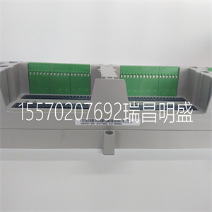 EPRO PR6423/004-010 振动保护器 电源板卡件