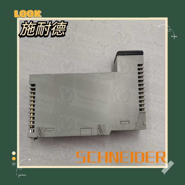 SCHNEIDER   TSXCUSBMBP 