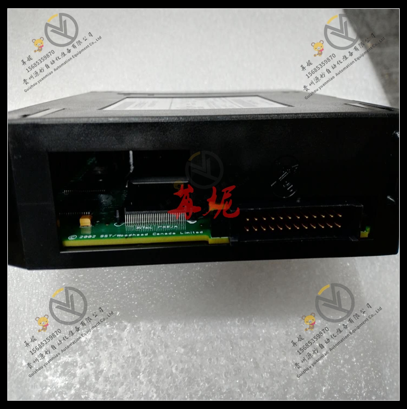 GE -IC693CBL303 