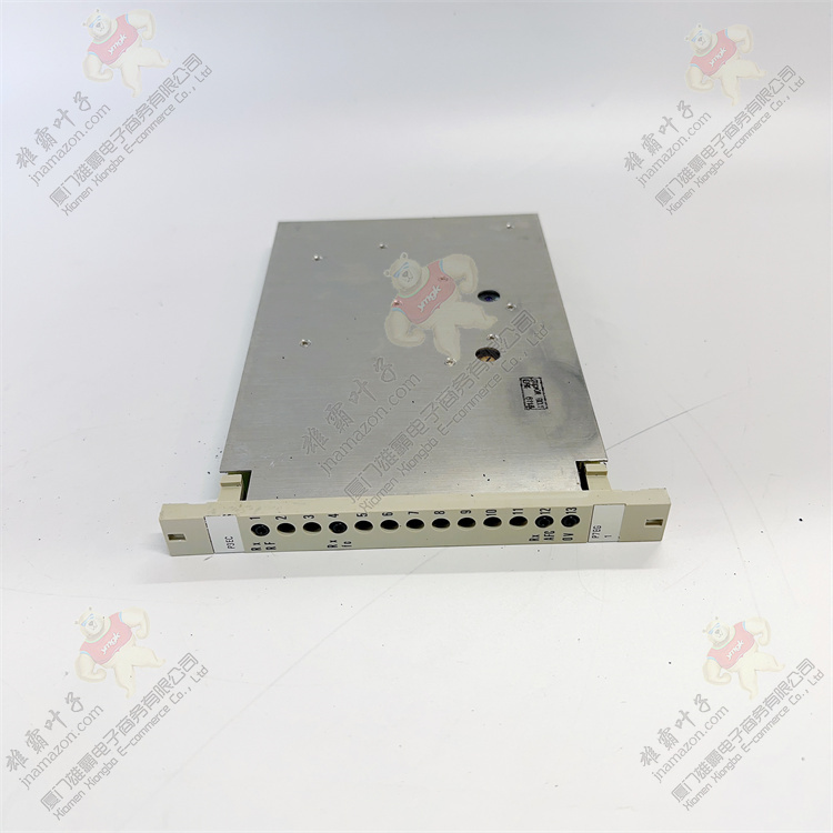 ABB P3ECa HENF315309R2 控制器模块 4-240 V AC/DC 