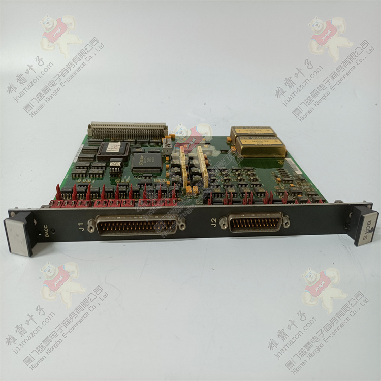 DS200SIOBH1AAA General Electric 通用电气终端模块 