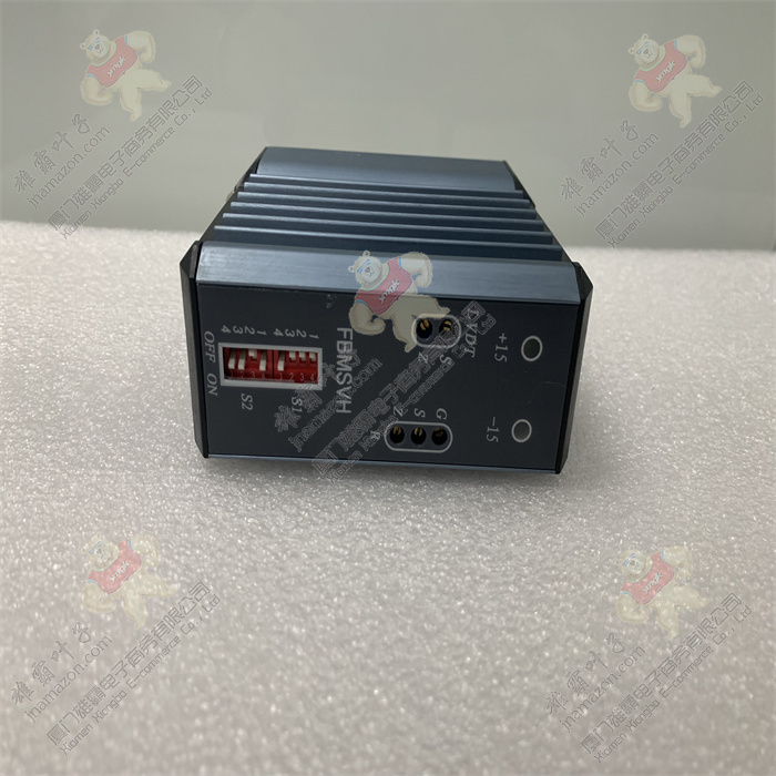 FBMSVH | FOXBORO 现场总线扩展模块 