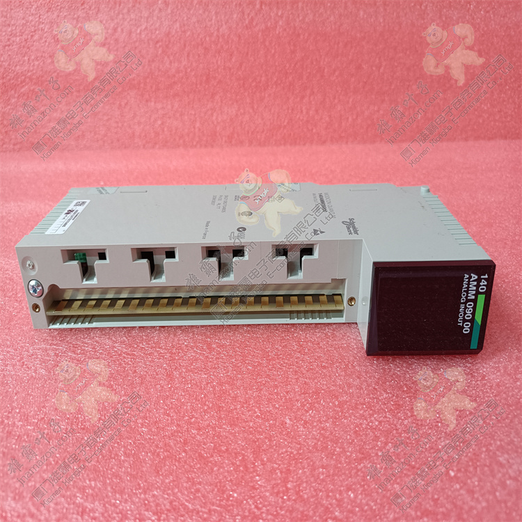 140AMM09000 | Schneider Electric 模拟量输入输出模块 
