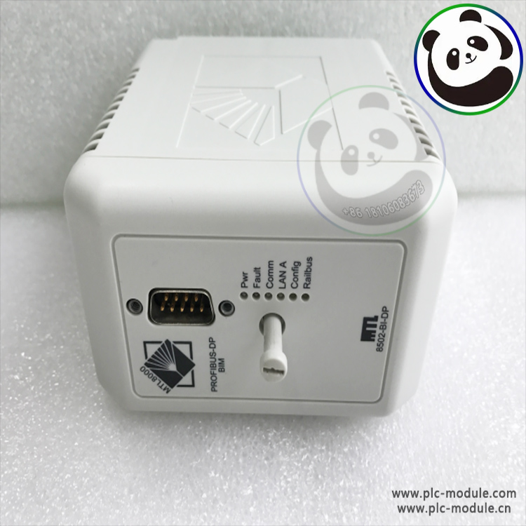 GE DS200FCRLG1A  控制模块 控制器 