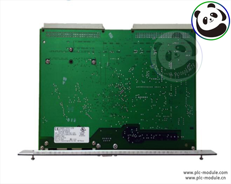 GE DS200DCFBG1BNC 输入接线端子板 