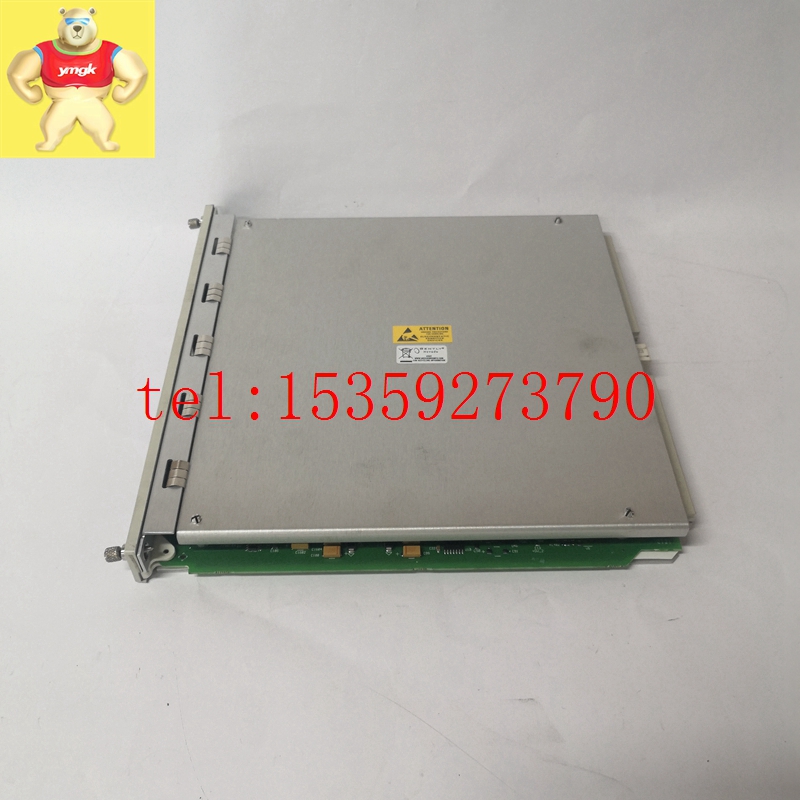 BENTLY 350022M 138607-01進口原裝 