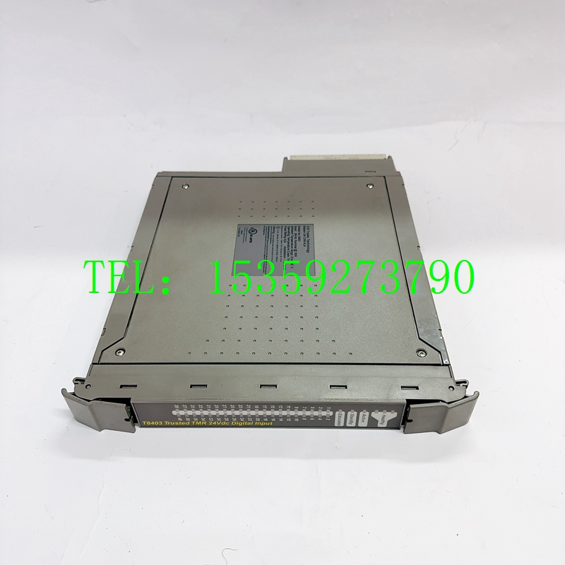 ICS TRIPLEX T8403备件热卖 /系统备件/价格优势 
