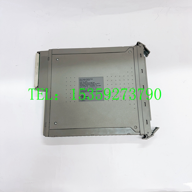 ICS TRIPLEX T8403备件热卖 /系统备件/价格优势 