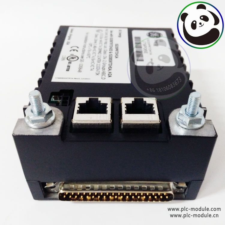 GE DS200FSAAG2ABA 工业控制模块 