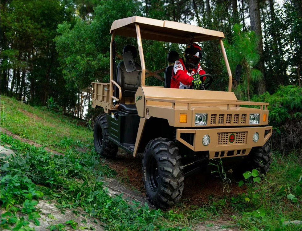 全地形越野车 4x4四轮 WY-GA006 摩托车 沙滩车 600/1000 cc黄色 