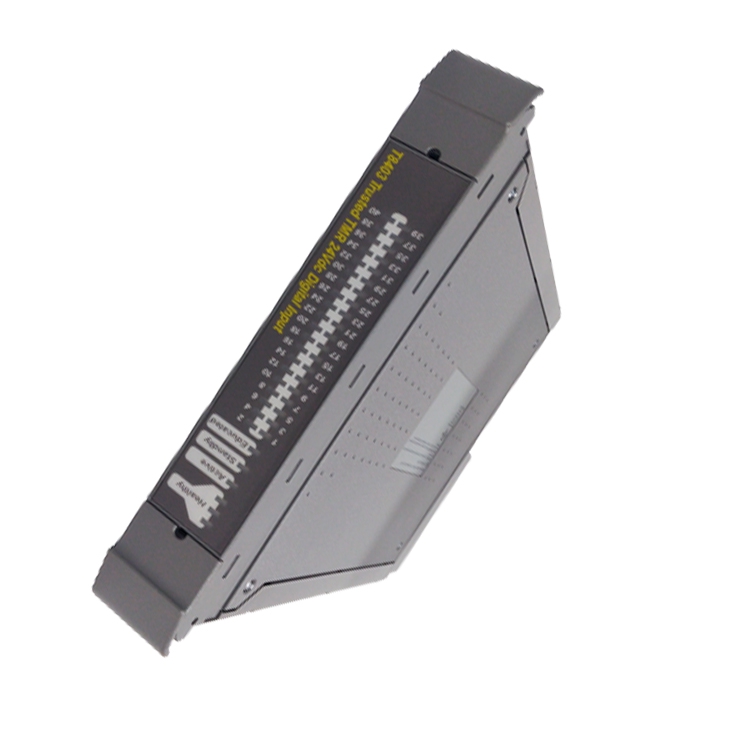 T8310 ICS Triplex 可信扩展处理器