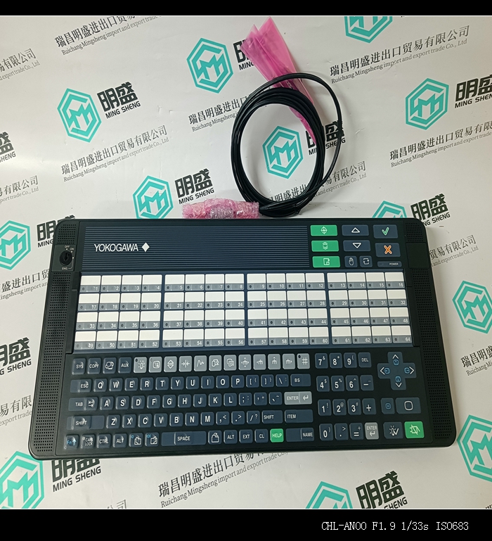 YOKOGAWA 	AIP830-111現(xiàn)貨DCS機器人系統(tǒng)備件 