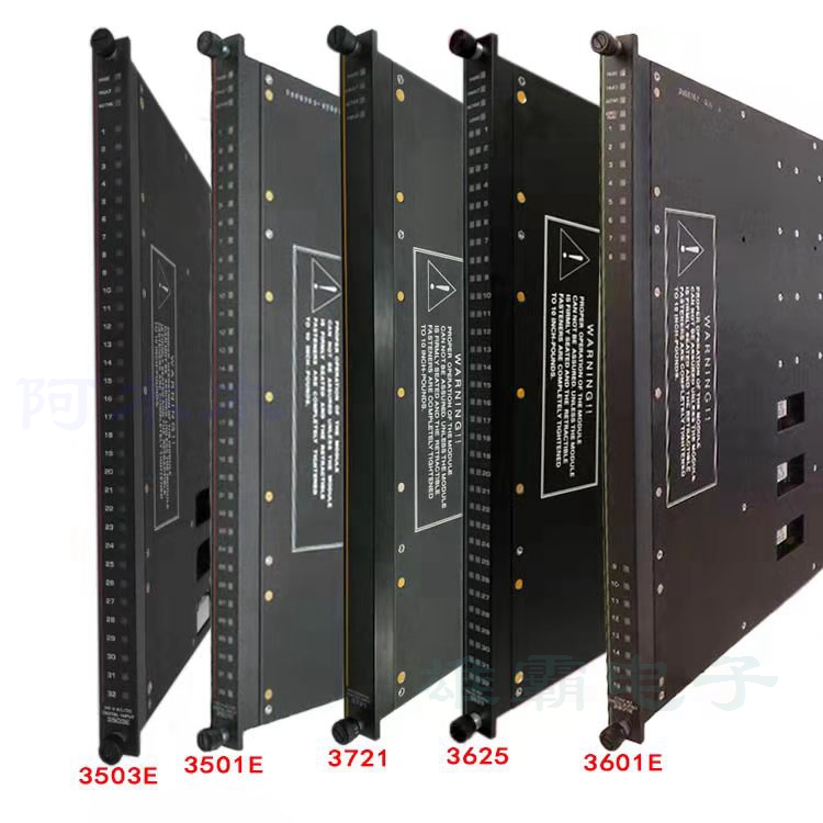 IC697RCM711模拟输入扩展器模块 