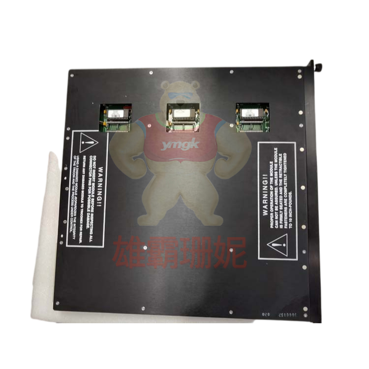 Triconex ECIM 4119 A 
