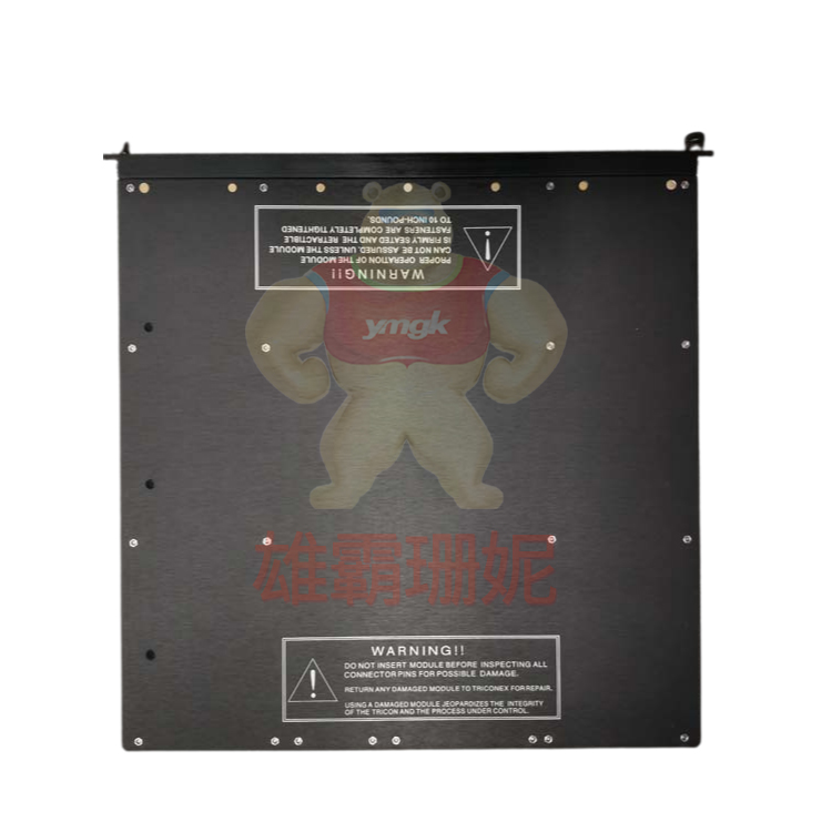 Triconex ECIM 4119 A 