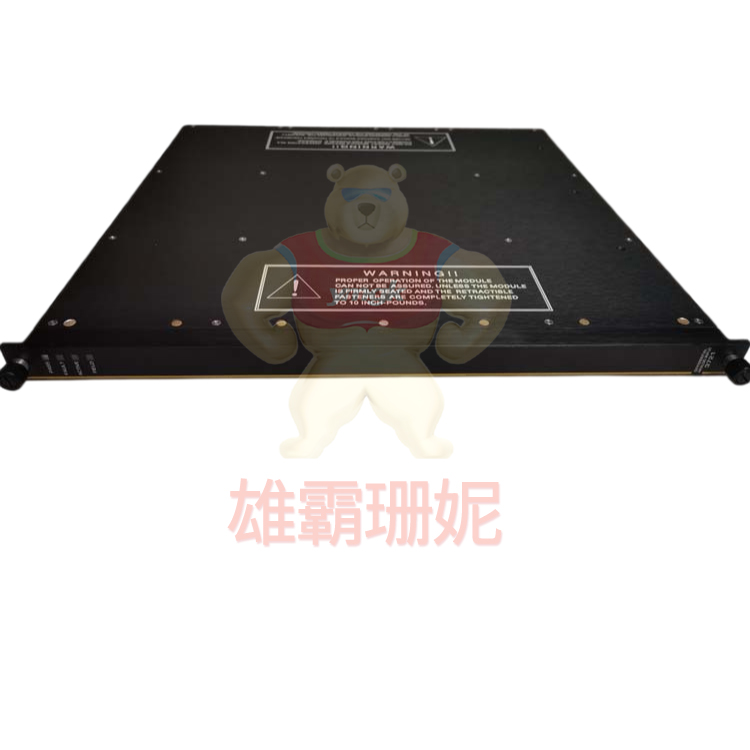 Triconex ECIM 4119 A 