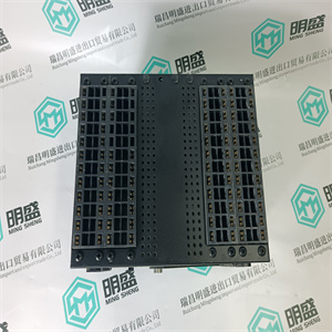 ICS TRIPLEX T8431 PLC/DCS卡件