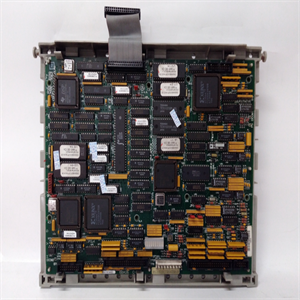 DS215SDCCG1AZZ01B模块备件产品质量 