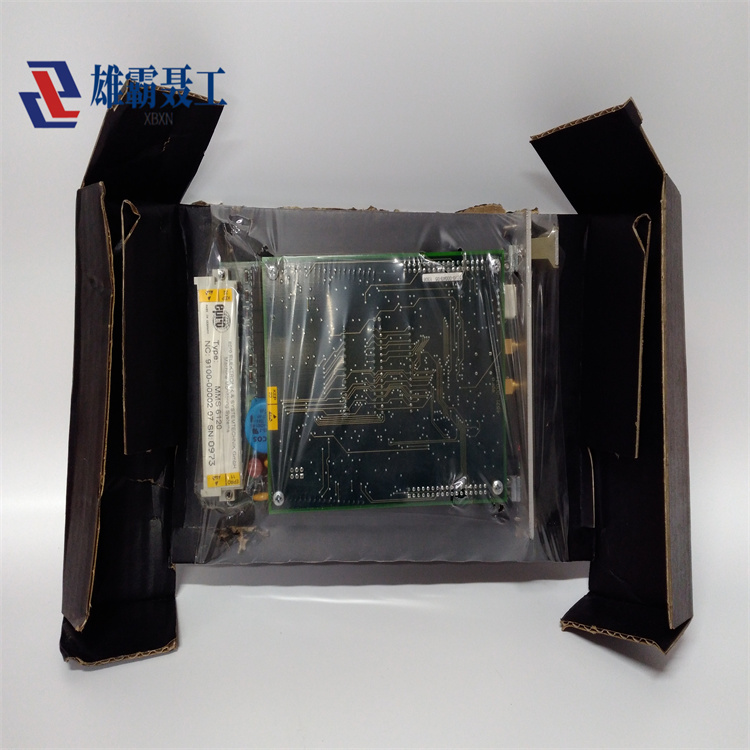 MMS6120 EPRO 卡件模块