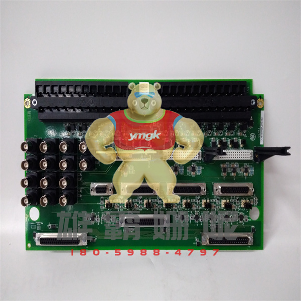 IS200WETBH1GE	模块	GE Fanuc 