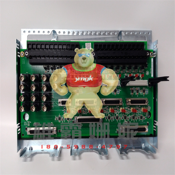 IS200WETBH1GE	模块	GE Fanuc 