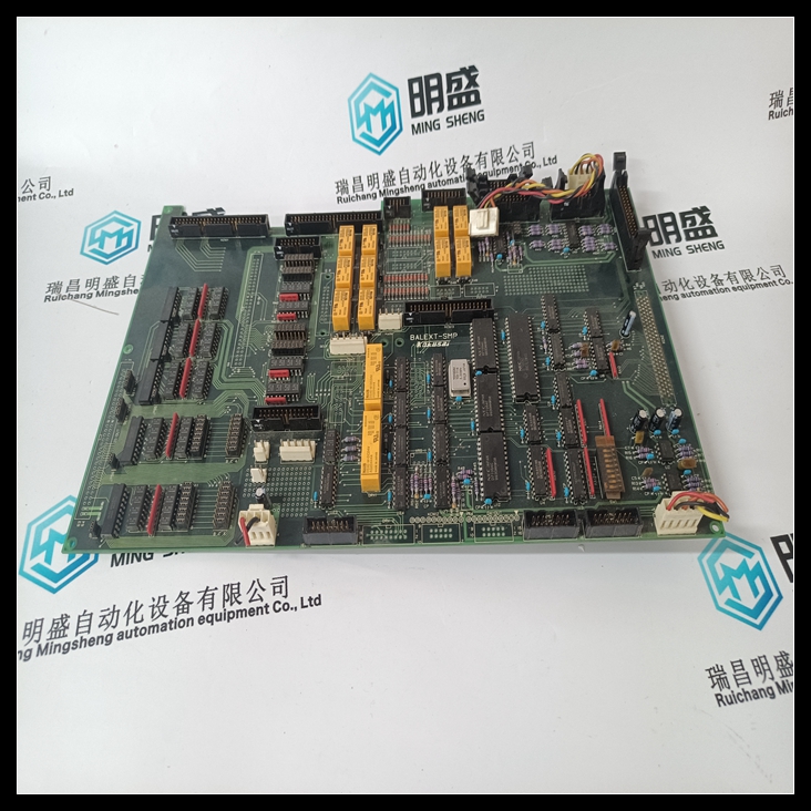 KOKUSAI BALEXT-SMP隔离输入通道模块 