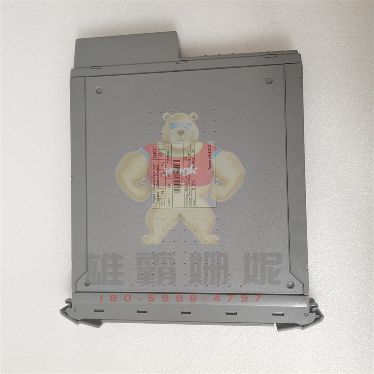 ICS TRIPLEX T8461C 工控数控专业自动化备件