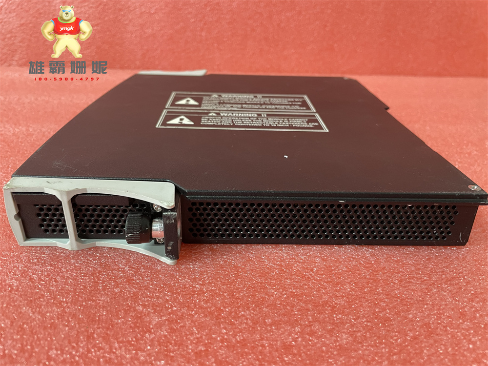 Triconex DCS 3703E 康吉森  模拟输入模块 原厂原装 进口品牌 