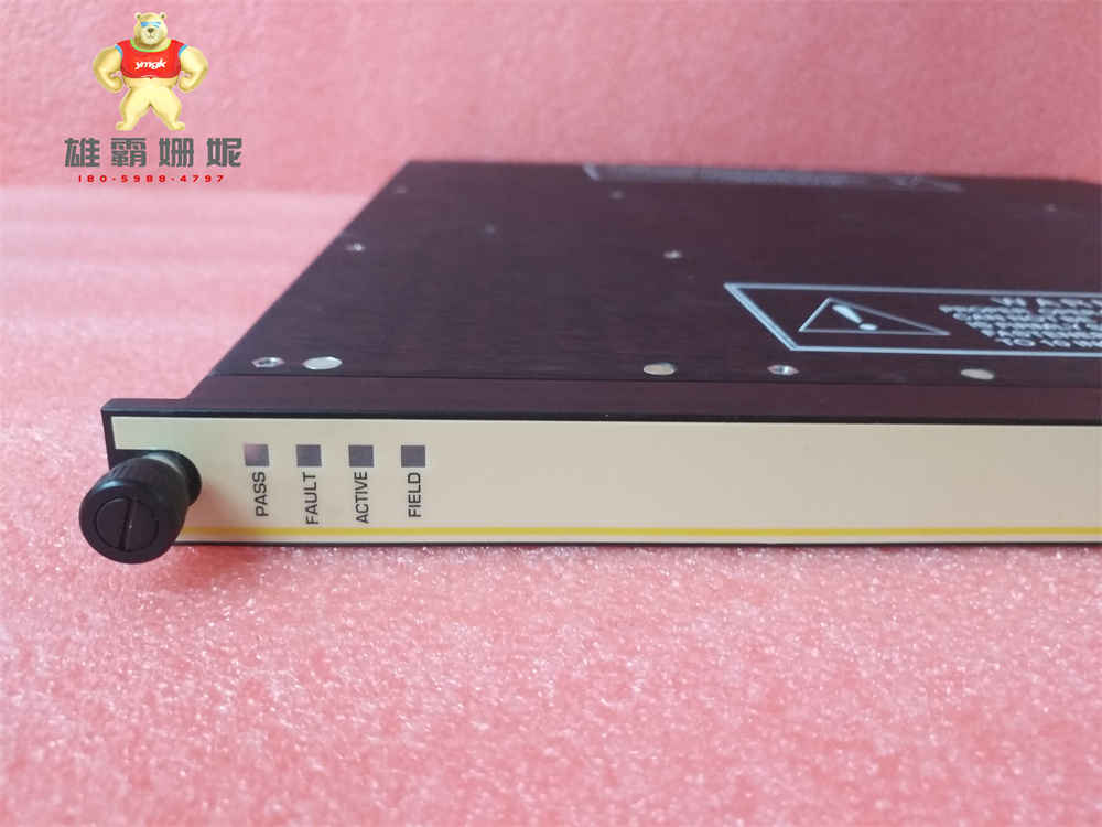 Triconex DCS  3703E 康吉森  通信模块    原厂原装 进口品牌 